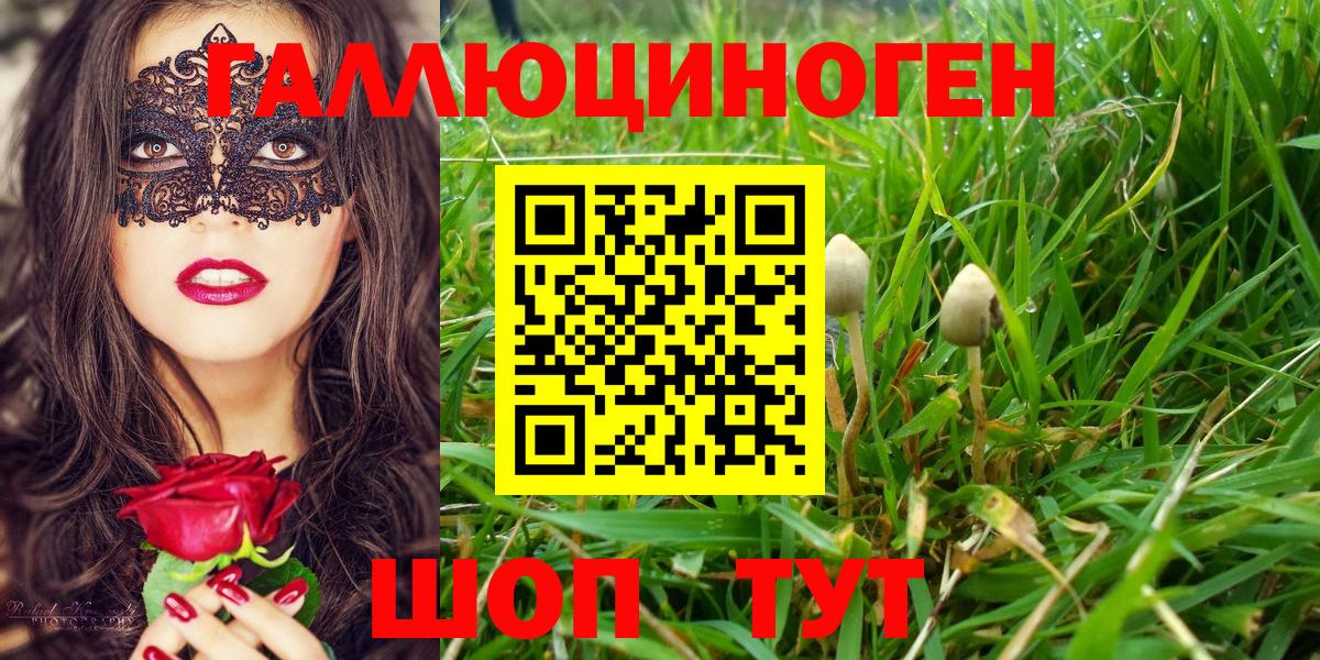 Псилоцибиновые грибы Psilocybe Ипатово